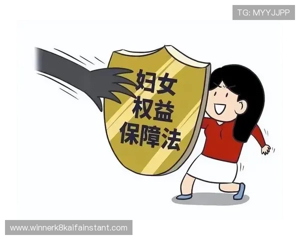 K8体育正规平台的法律合规性分析，保障用户权益不受侵害